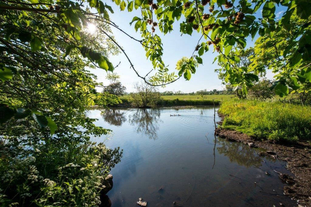 Lot 1 Pond