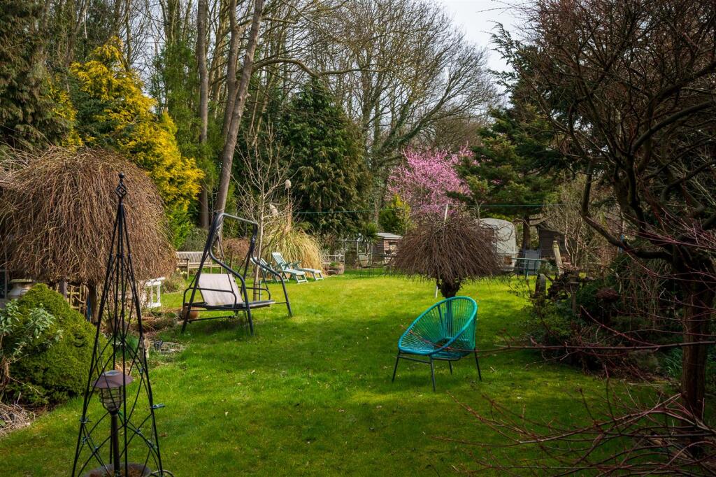 DSC_1654.jpg