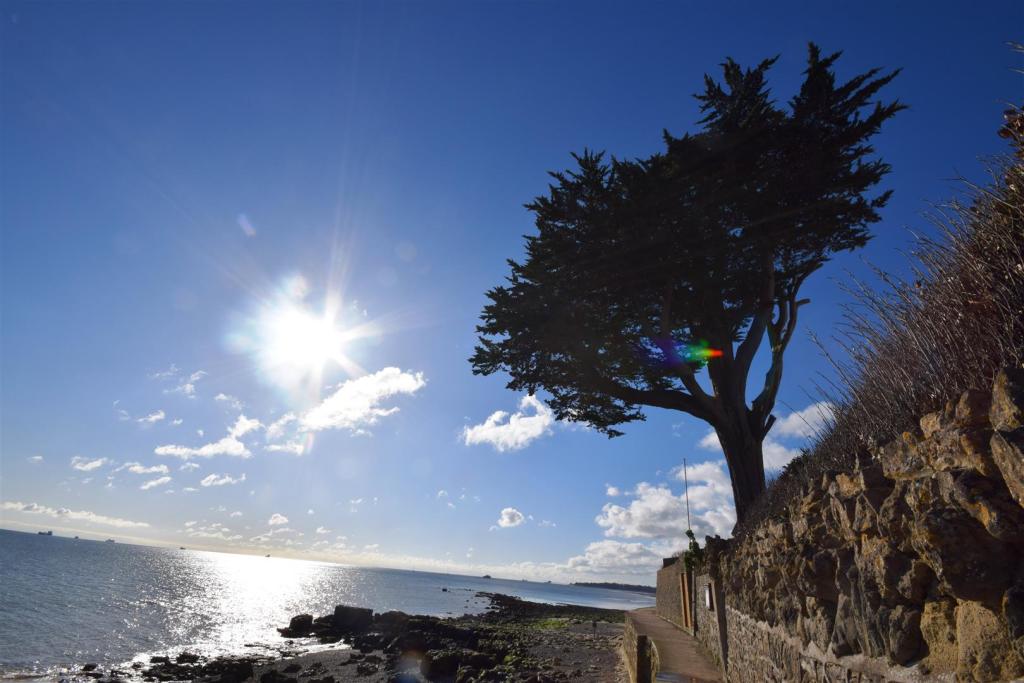 Seaview - Quay Rocks.JPG