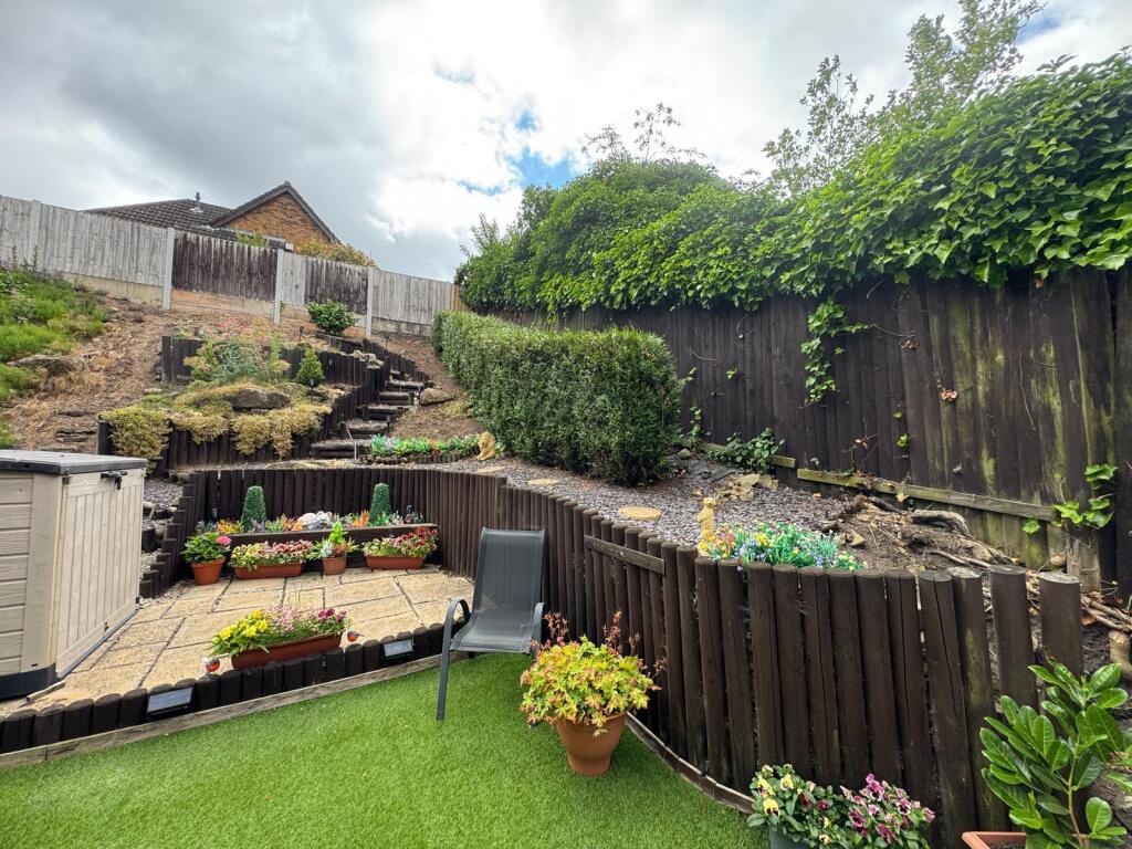 Back garden