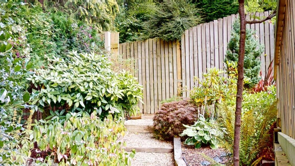 The-Beeches-55a-Curly-Hill-09102024_123710