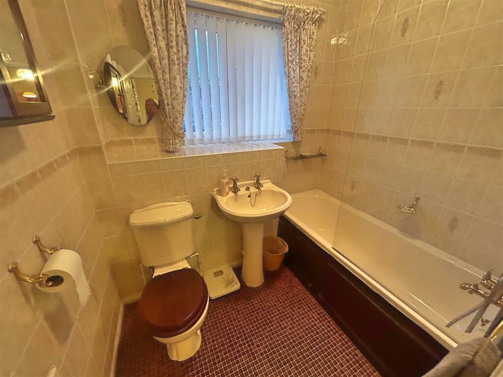 IMG_2752 (Large).JPG