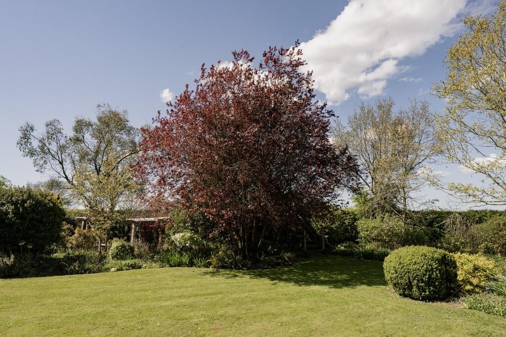 CH26-Cornfield Ha...