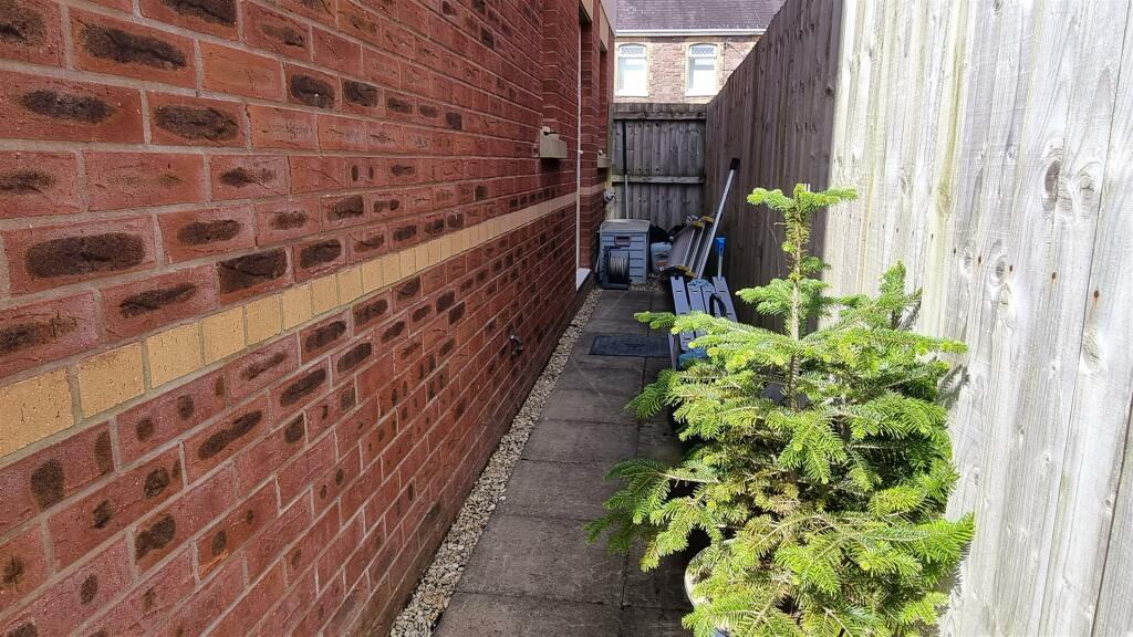 2c Garden.jpg