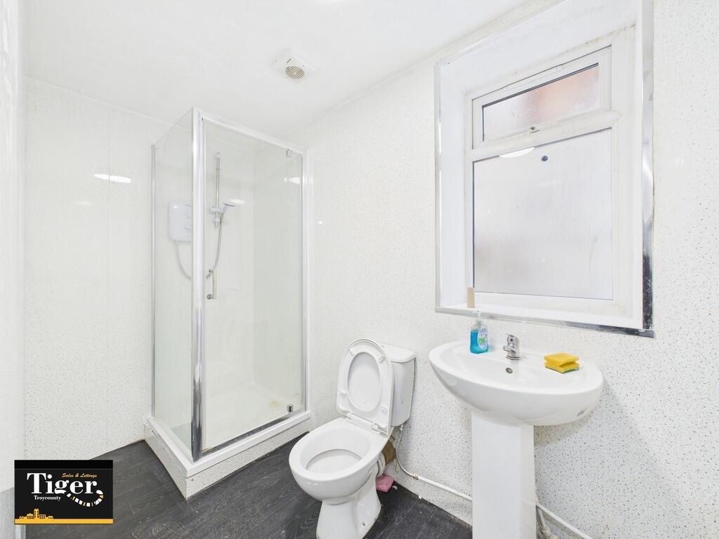 IMG_398830_9_larg...