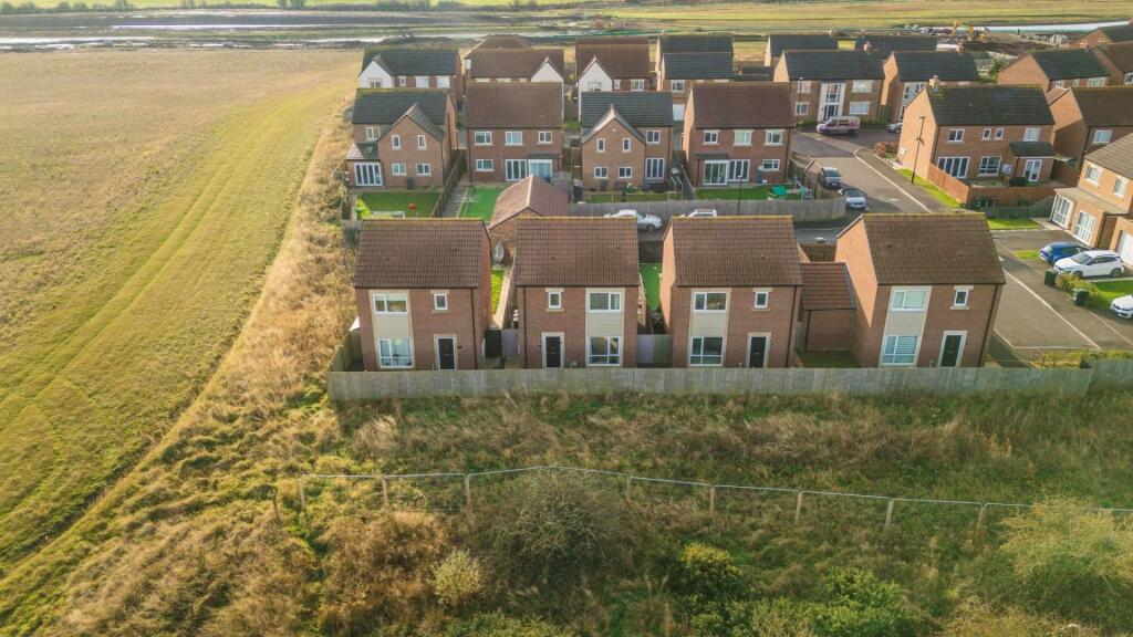 Drone View