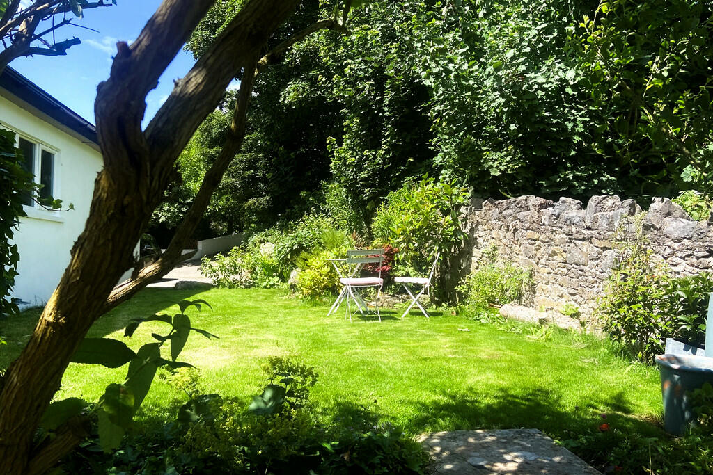 Vendor Garden Pic...