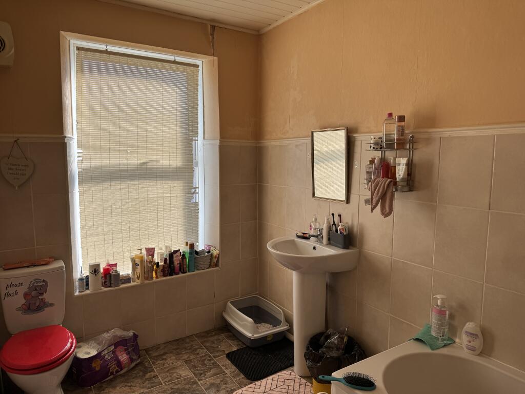 IMG 8508 T202509230950.jpeg