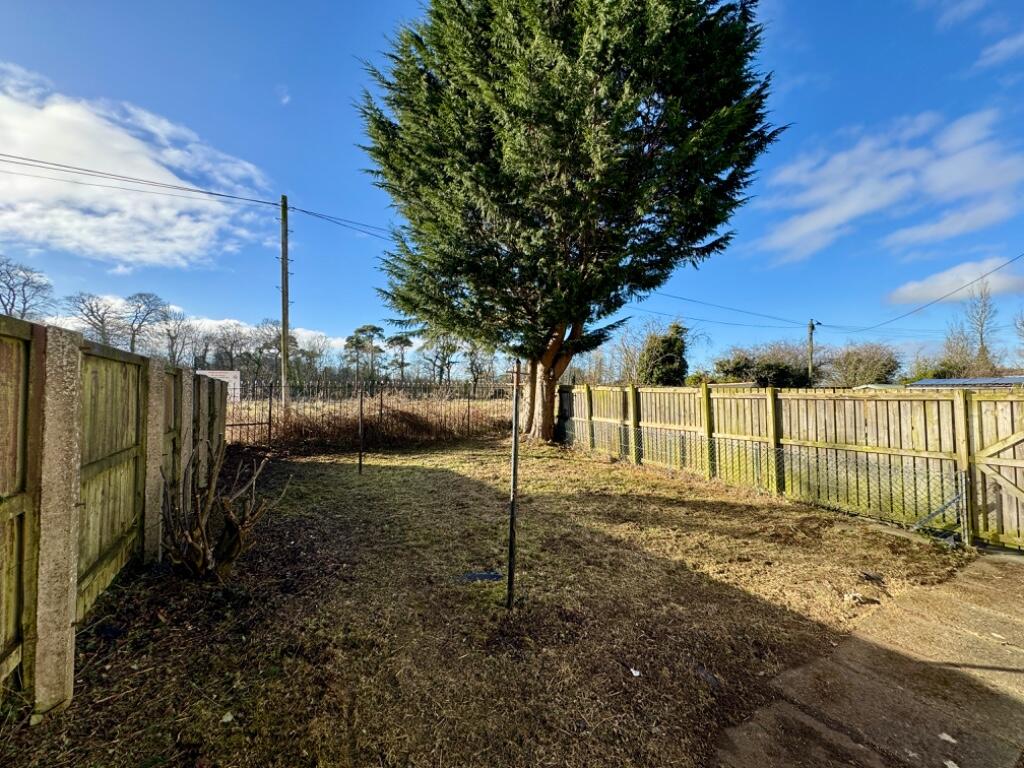 Rear garden.