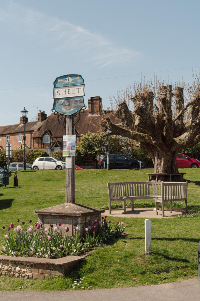 276885 - VILLAGE-STREET-PETERSFIELD-064.jpg