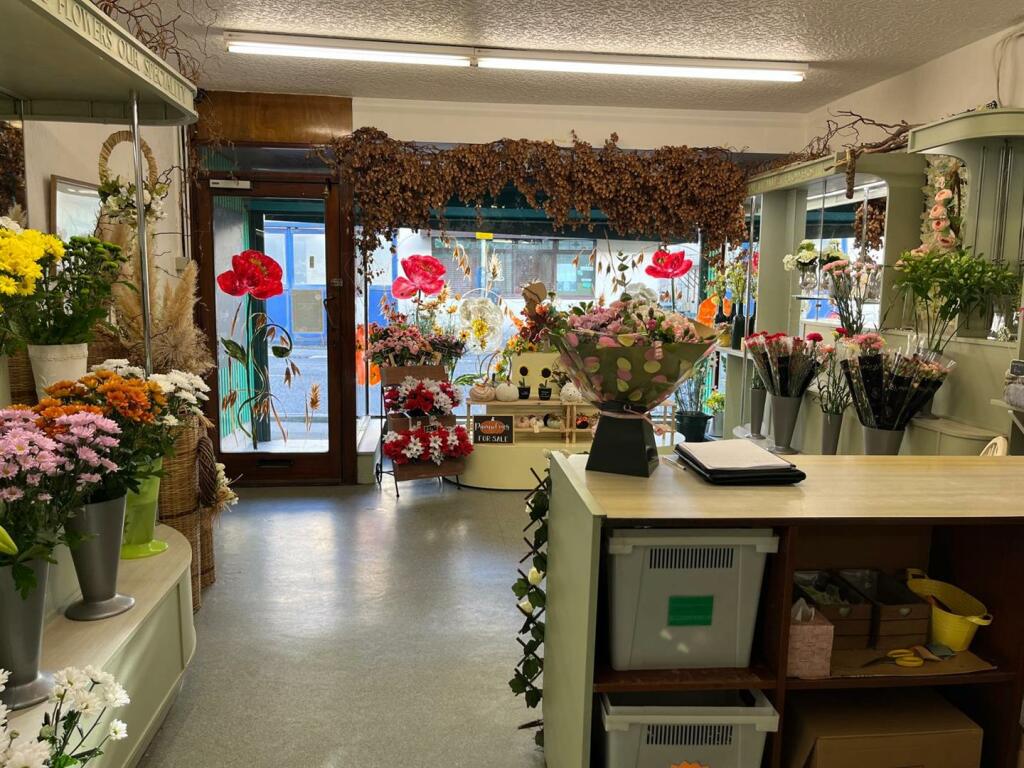 WhatsApp Image 2024-11-20 at 12.24.58.jpeg