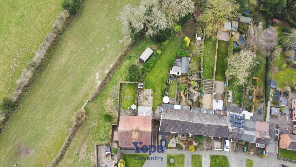 5ce38961-Birds 20Eye.JPG