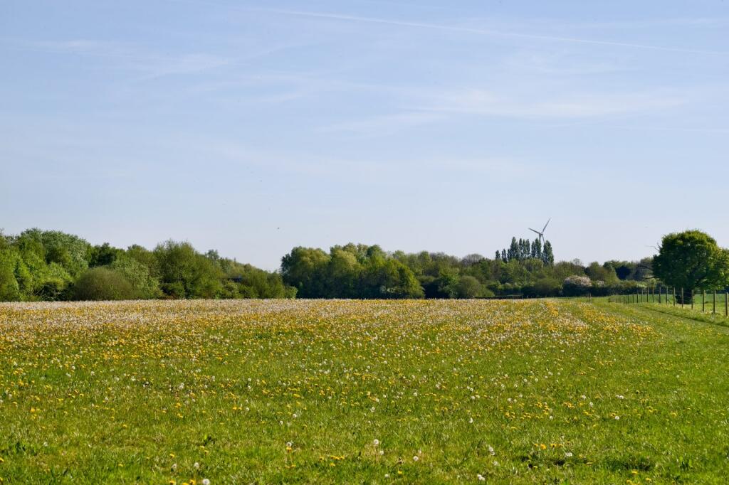 Land
