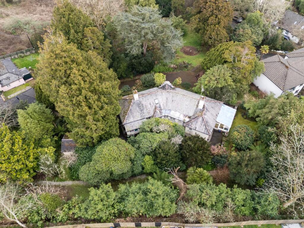 DJI_20250309111514_0022_D.jpg