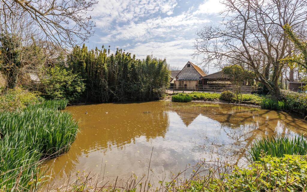 Pond