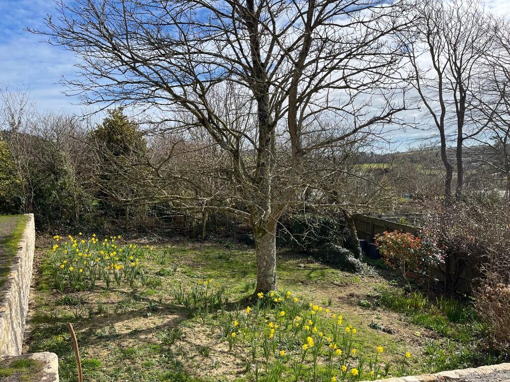 Lower garden
