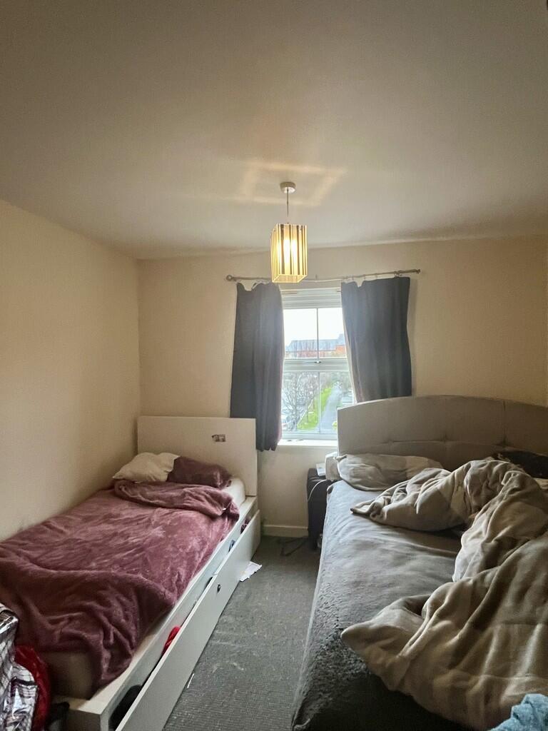 image3 (4)