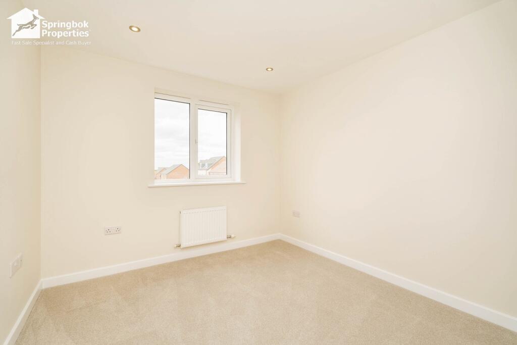 IMAGE 8