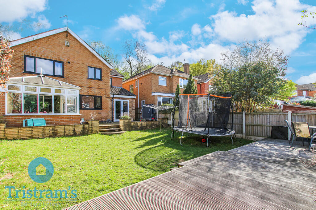 Untitled design (...