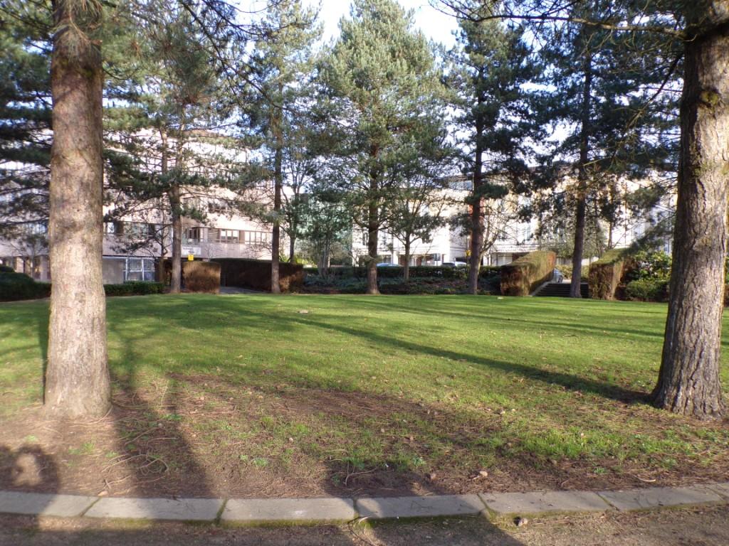 Park to Rear