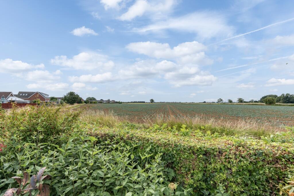 Field Views