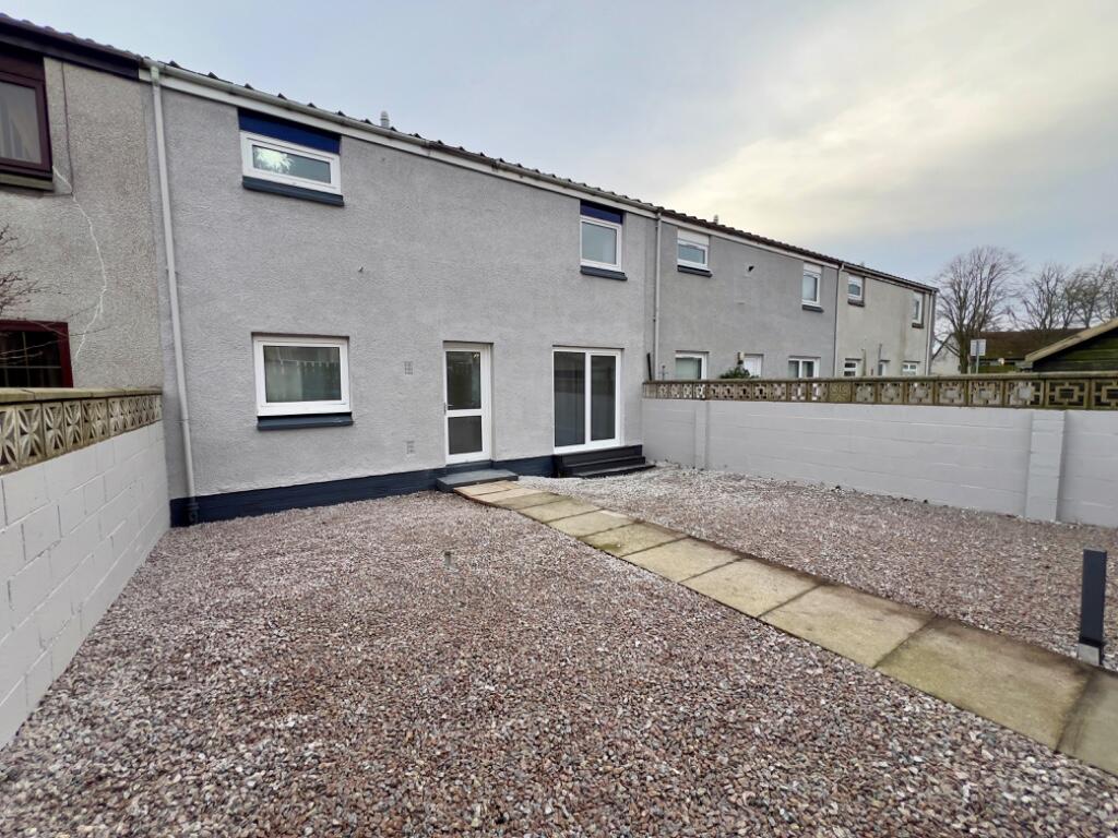 Back garden
