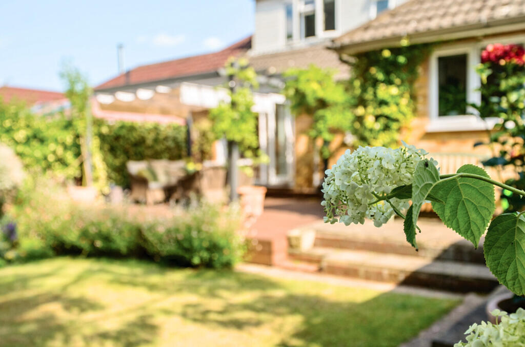 1312332-7-6854358...