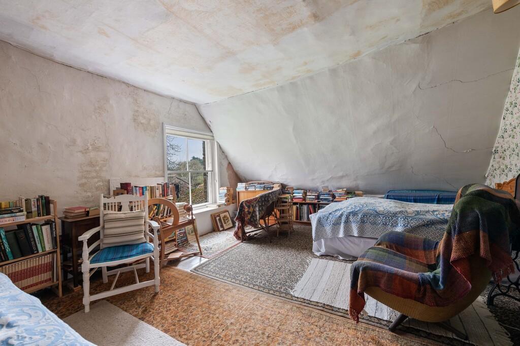Thatch 15 T202504041224.jpg