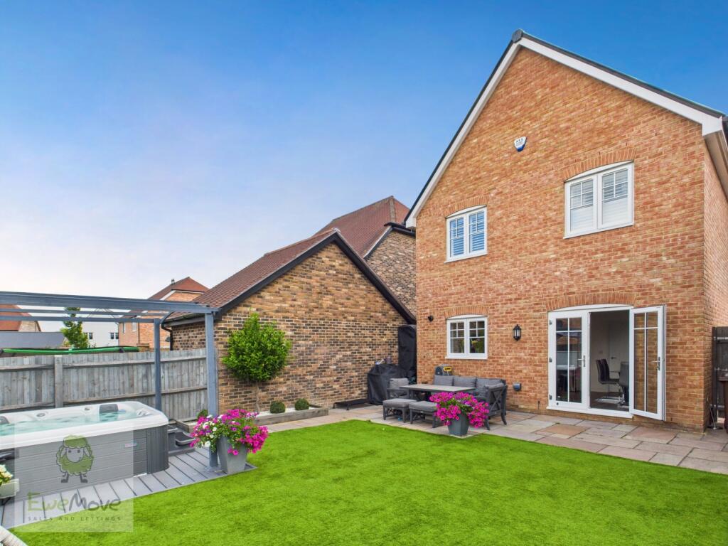 Back of the Property