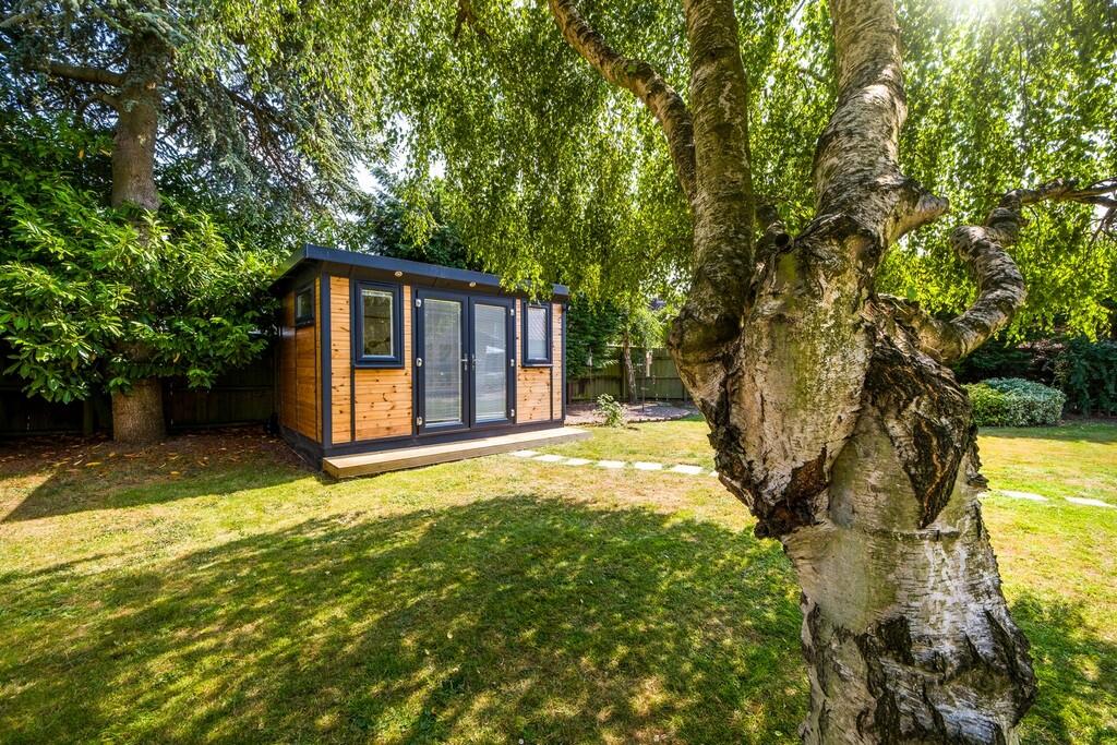 1440px Beech Tree...