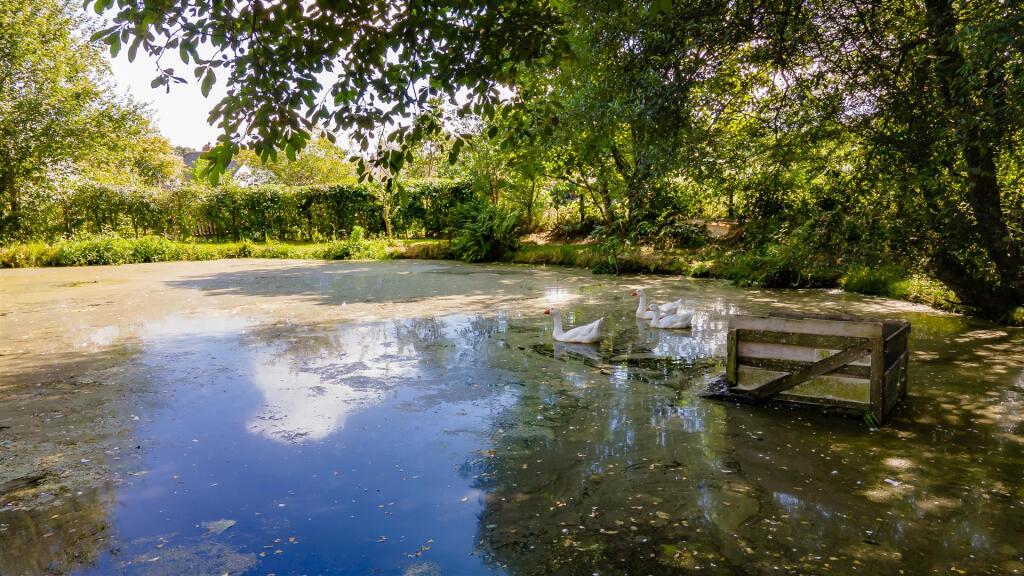 pond