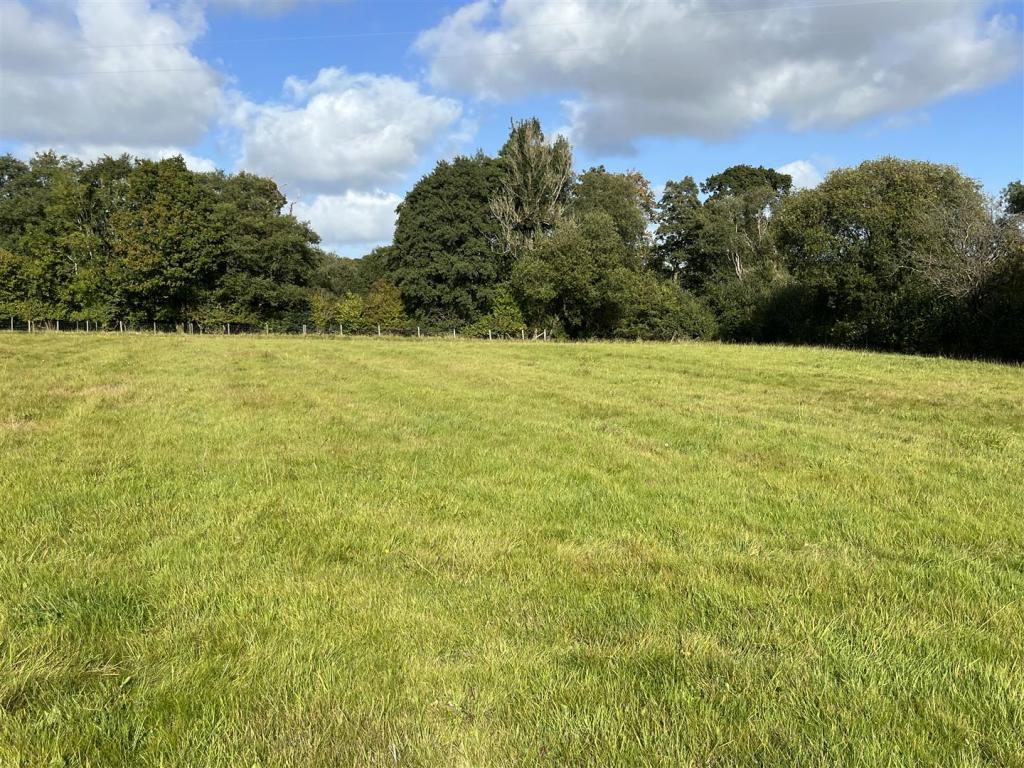 PADDOCKS