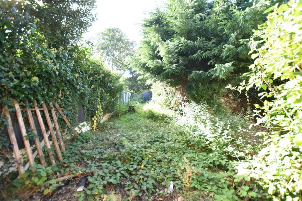 DSC_0136.JPG