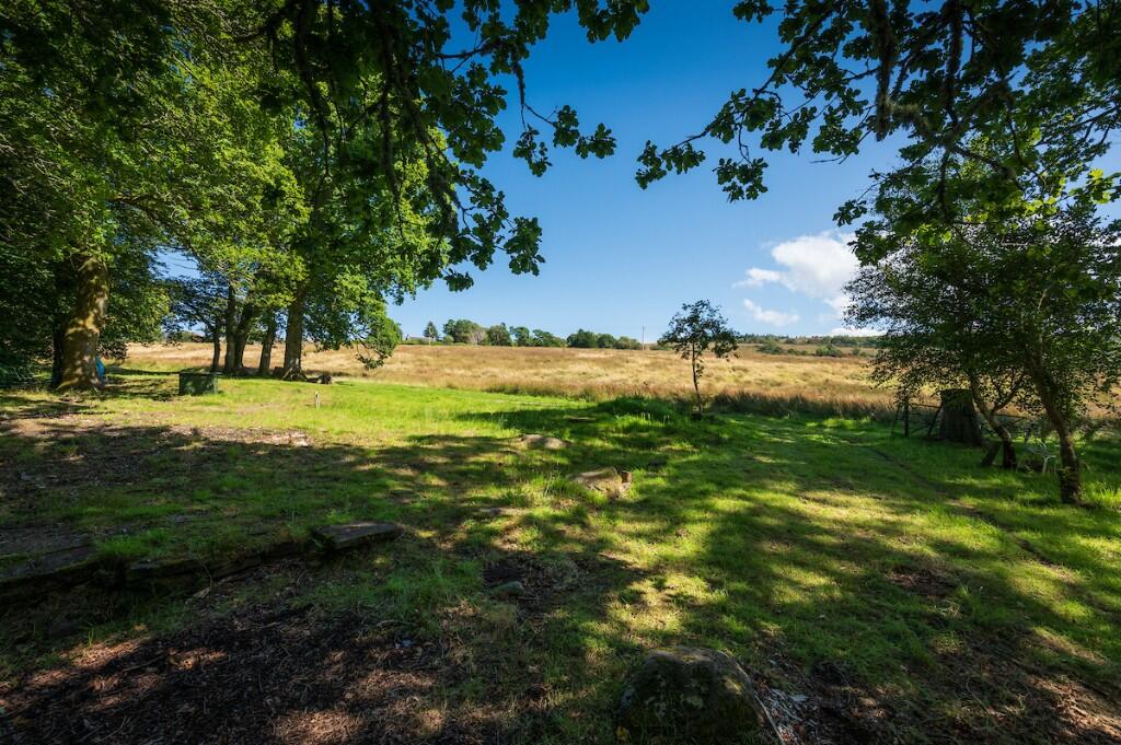Site