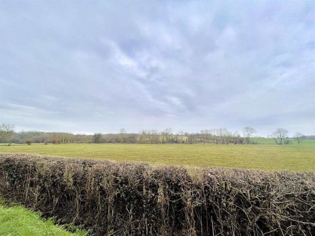 IMG_1597.JPEG