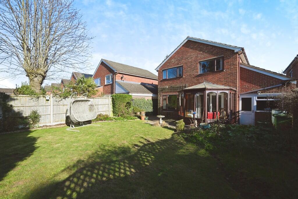 editedimage-d64ab...