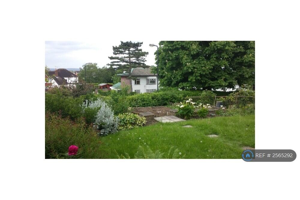Front Garden
