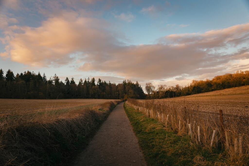 Local area shot of kingley vale in south downs