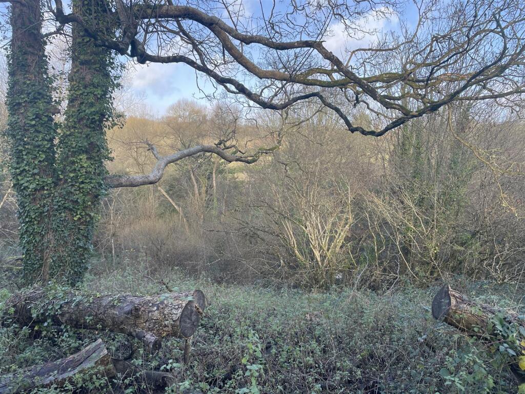 Raleigh Hill, Bideford