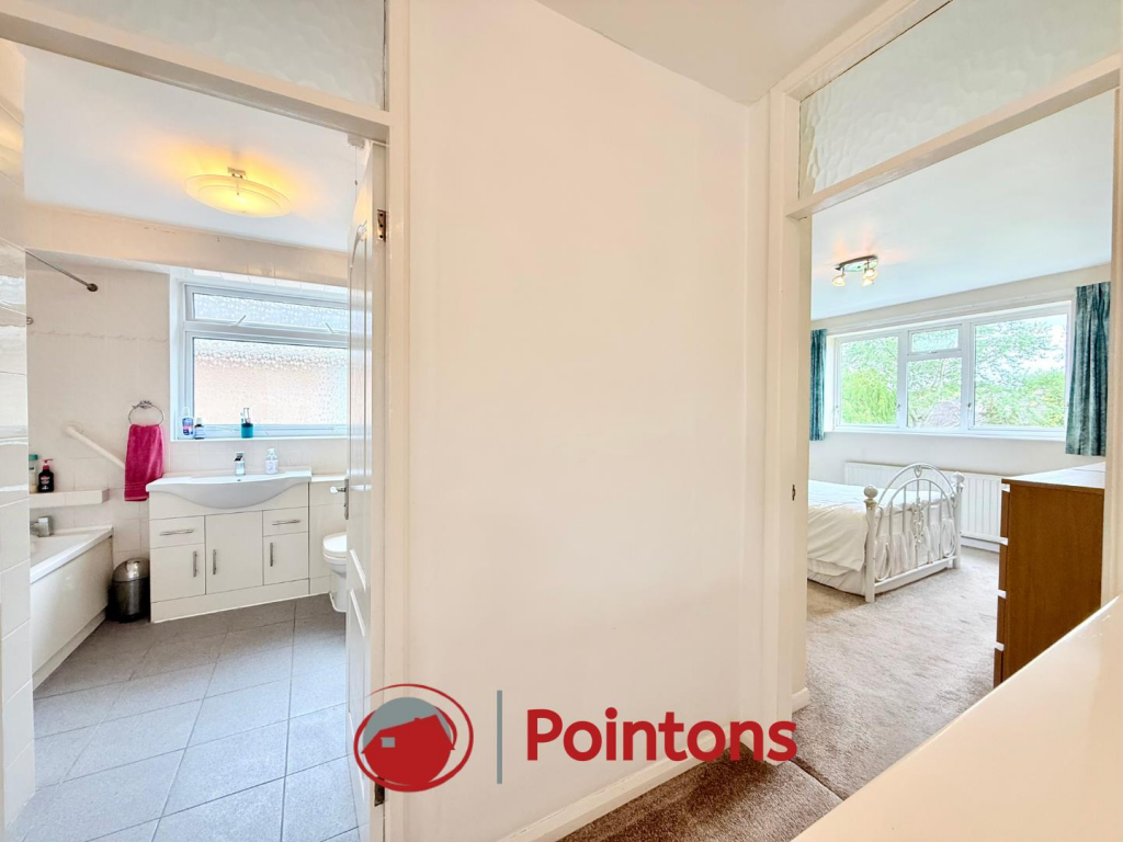 Logo image  (25).png