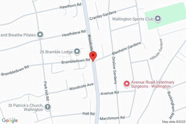 Google Maps Image