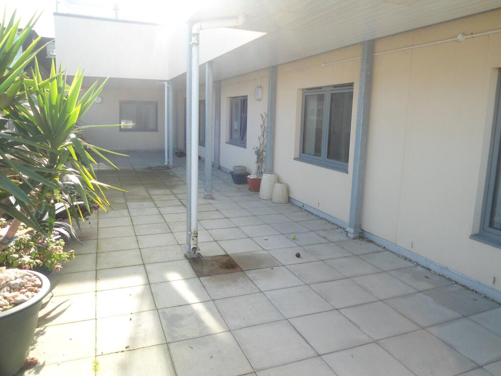Picture 6