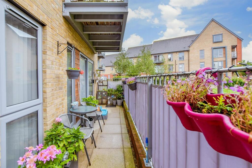 Patio / Decking