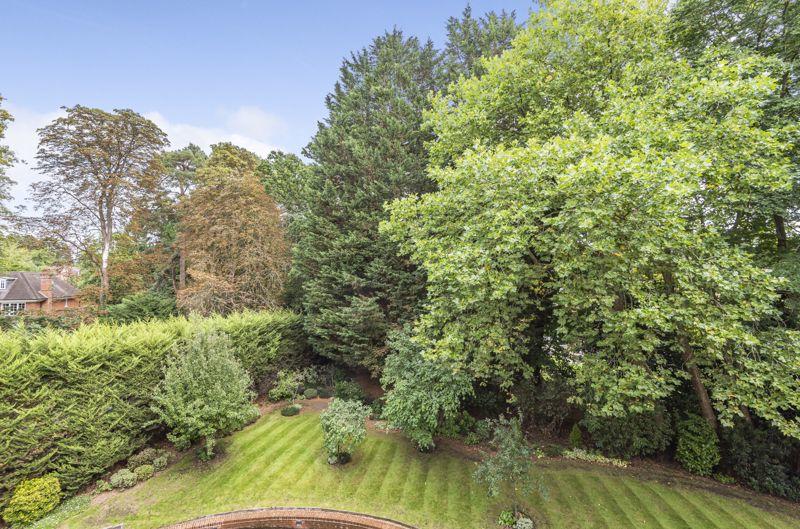 Communal Gardens