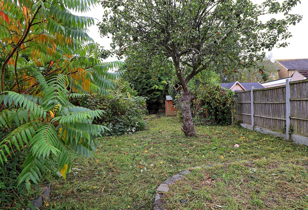 Garden Apple tree