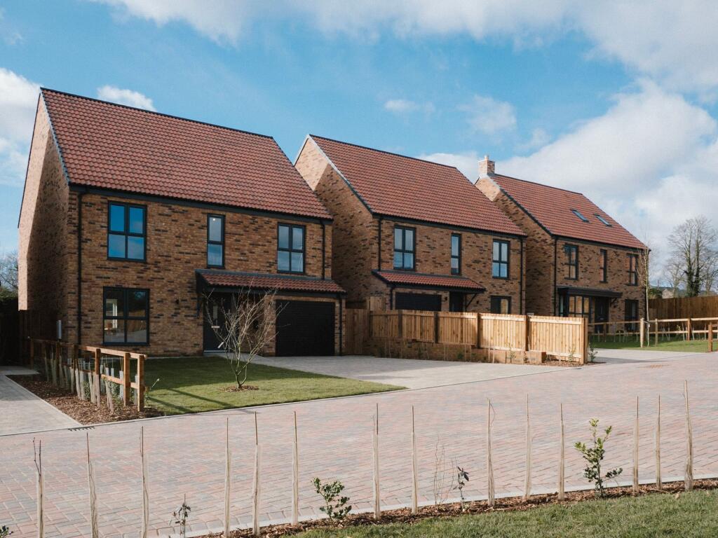 The Pine | Northern Courtyard (Middle)