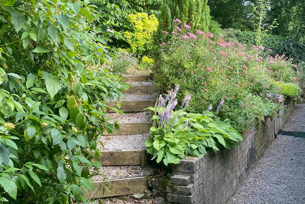 Garden in summer ...