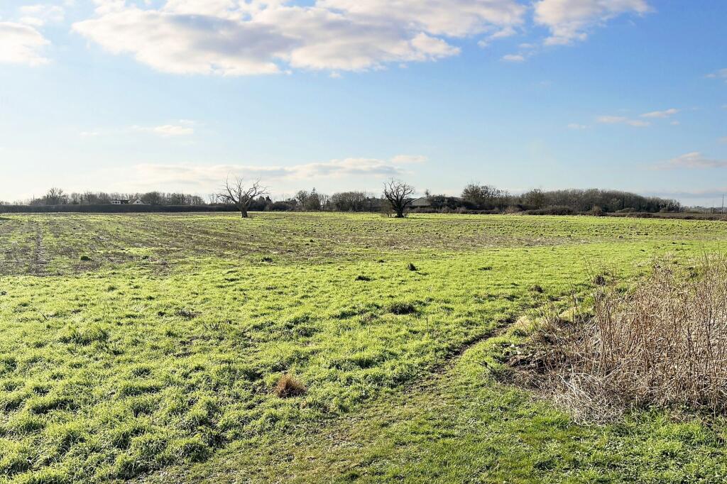 Views over adjacent fields