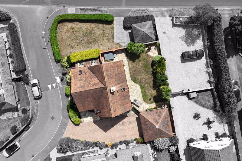Plot View