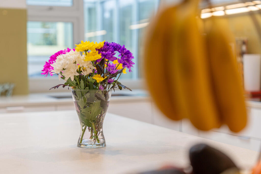 Proffitt Avenue07487